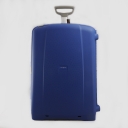 Samsonite,  , d18.031.078